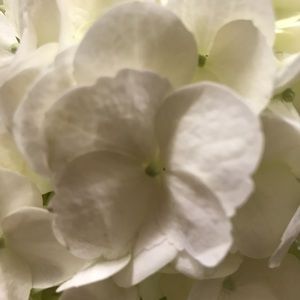 Meet your Posher, Clare